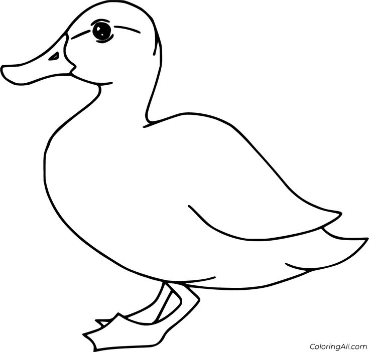 Free printable duck coloring pages in vector format easy to print from any device and automatically â bird coloring pages coloring pages free coloring pages