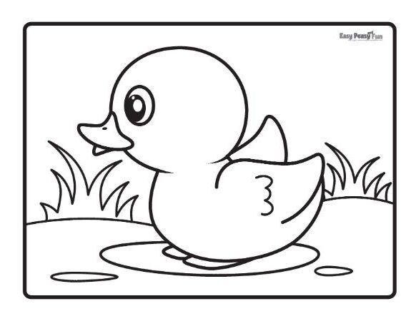 Printable bird coloring pages