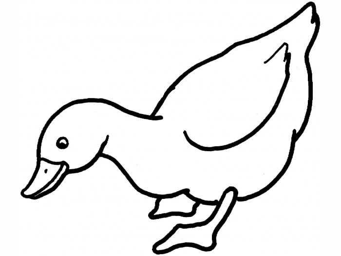 Duck shape s crafts and colouring pages