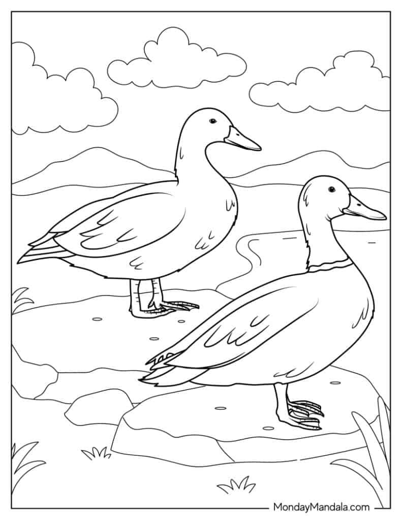 Cute duck coloring pages free pdf printables