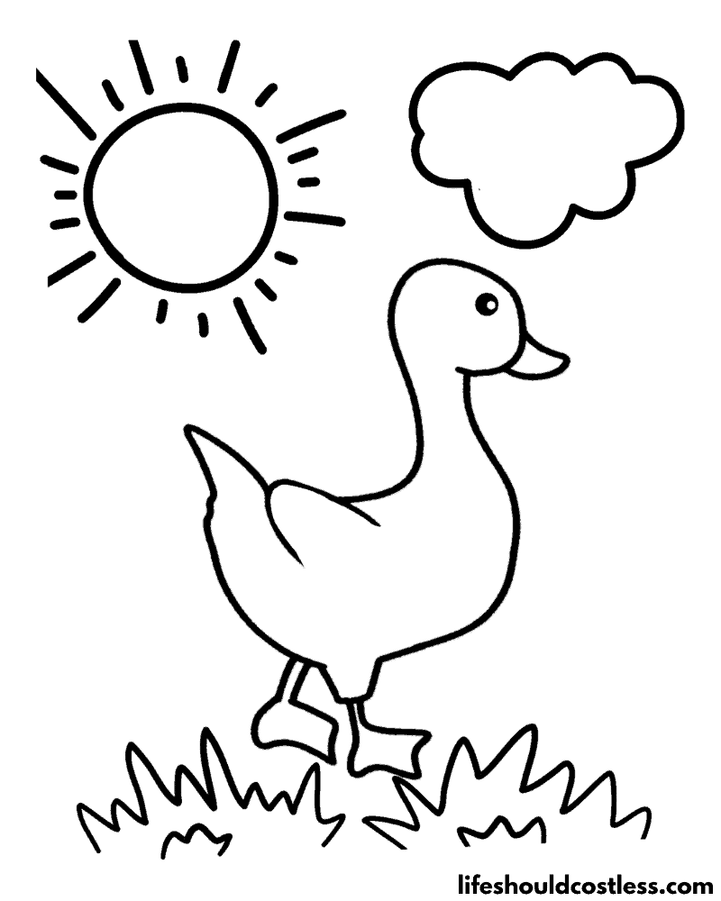 Duck coloring pages free printable pdf templates