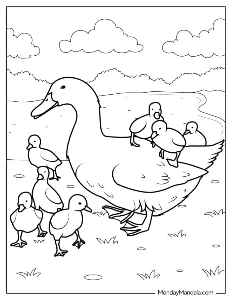 Cute duck coloring pages free pdf printables