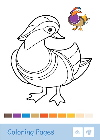 Colorful vector template and colorless contour illustration of a mandarin duck wild birds preschool kids coloring book illustrations and developmental activity stock illustration