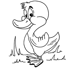 Top free printable duck coloring pages online