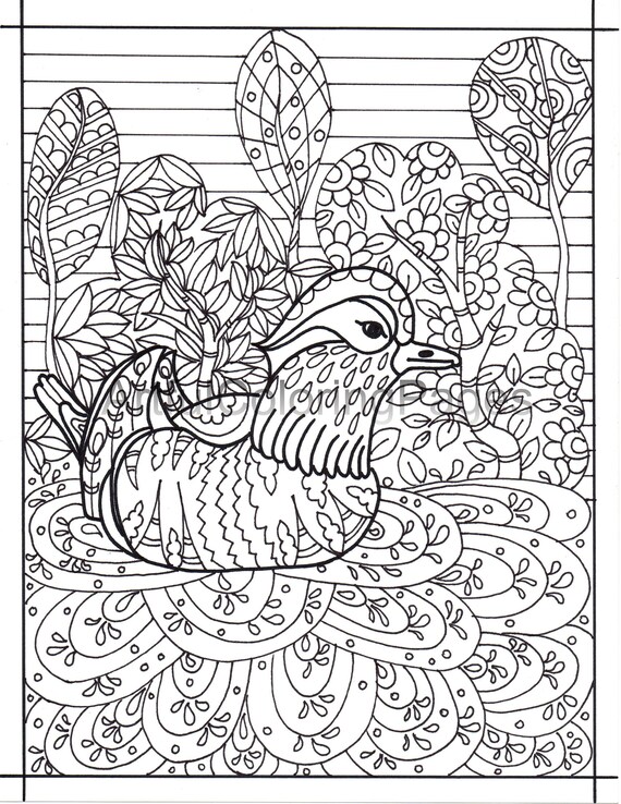 Adult coloring pages bird coloring pages duck coloring pages easy coloring pages instant download