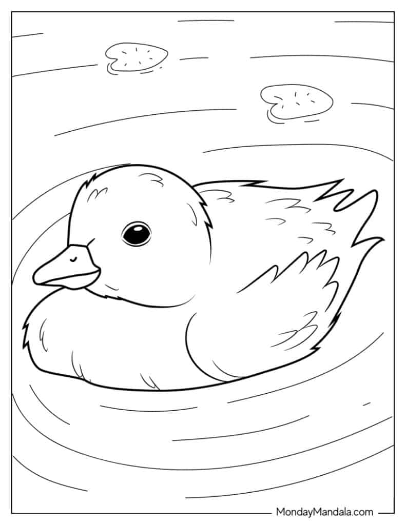 Cute duck coloring pages free pdf printables