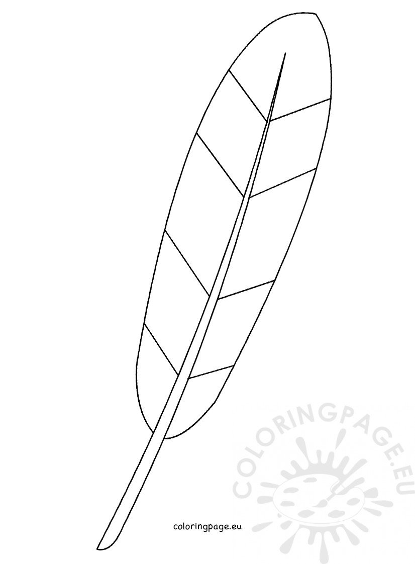 Turkey feather template coloring page