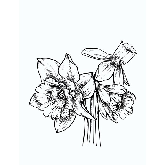 Flower coloring pages easy floral coloring pages adult floral designs stress relief coloring pages digital pdf coloring pdf download