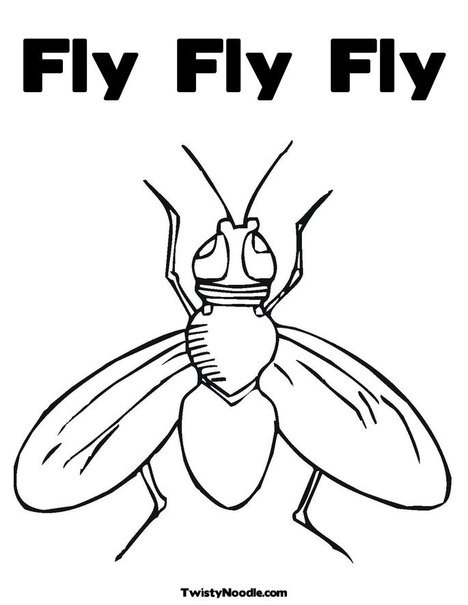 Fly fly fly coloring page coloring pages for boys insect coloring pages animal coloring pages