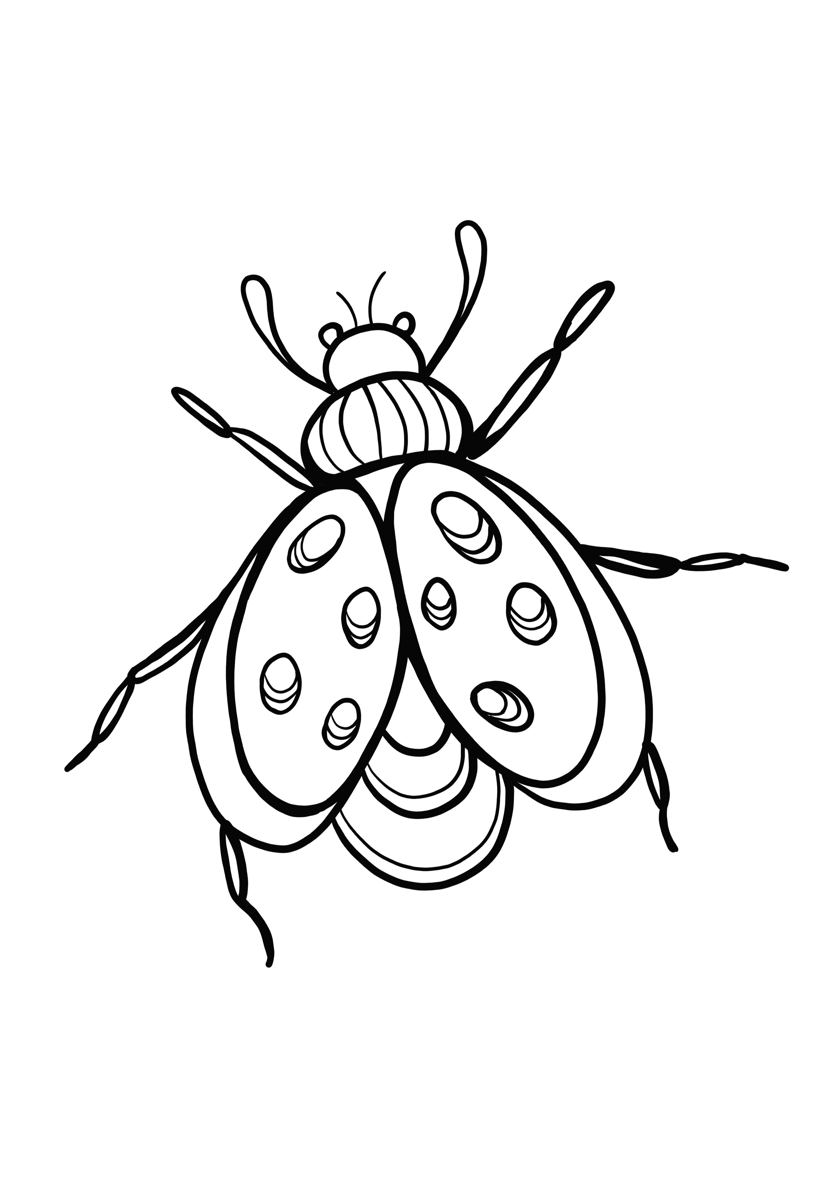 Simple fly coloring and printing for free