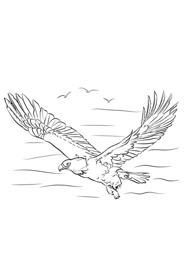 Coloring pages flying eagle coloring pages for kids