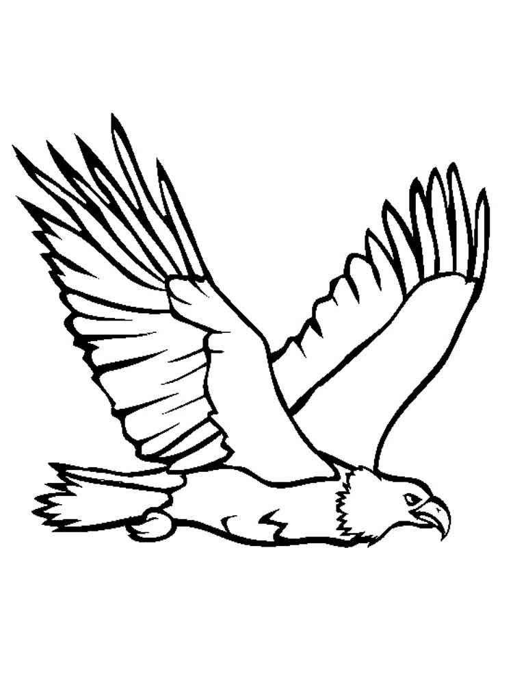 Flying eagle coloring page coloring pages bird coloring pages coloring pages for boys