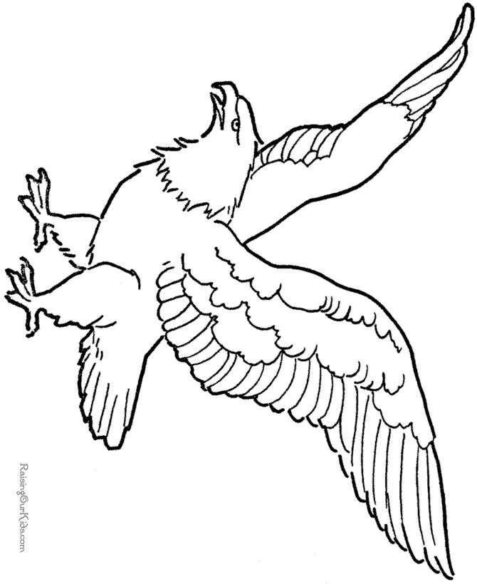 Bald eagle coloring page to print