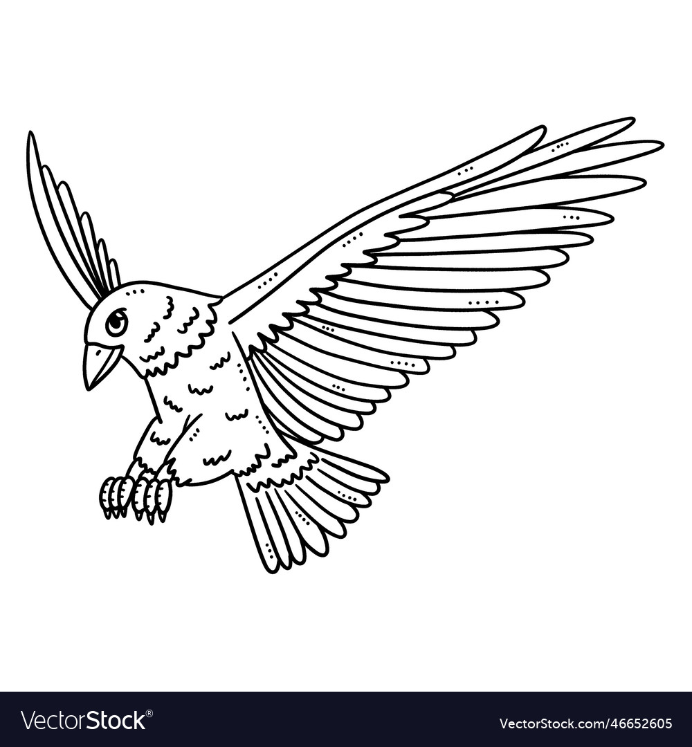Flying eagle isolated coloring page royalty free vector