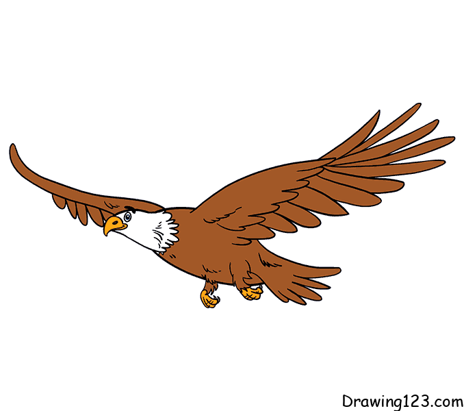 Eagle drawing tutorial