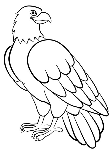 Bald eagle outline royalty