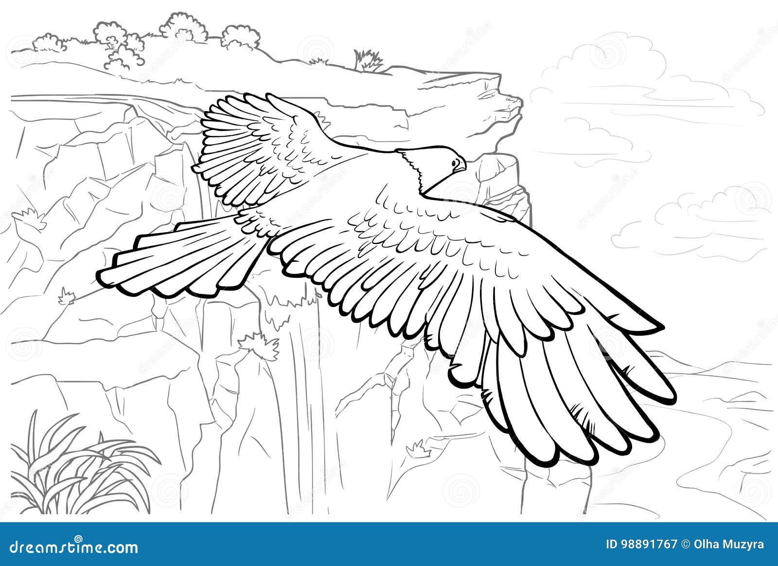 Coloring page fly of eagle stock illustration illustration of gray
