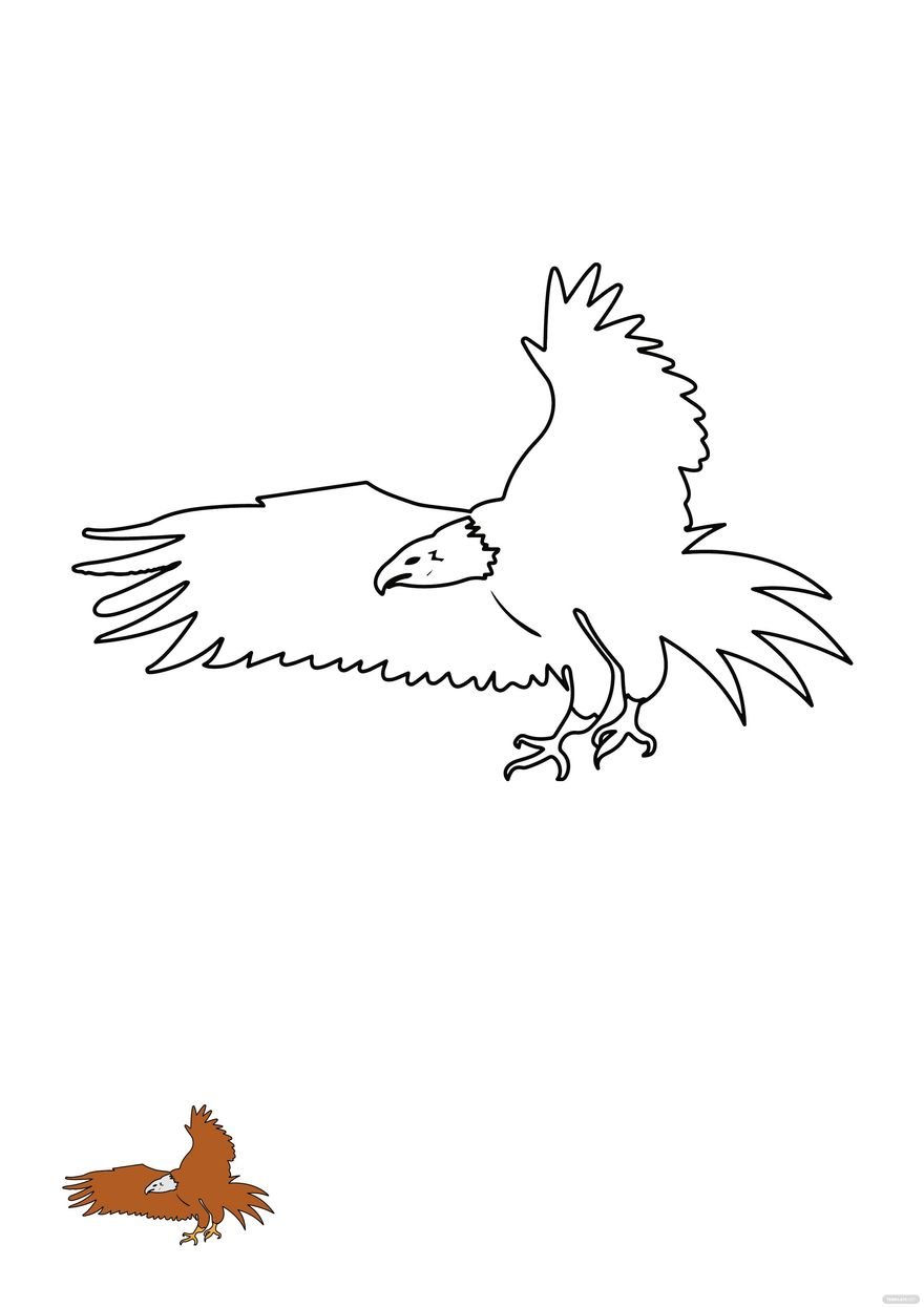 Free soaring eagle coloring page