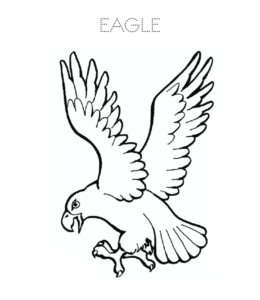Eagle coloring pages playing learning