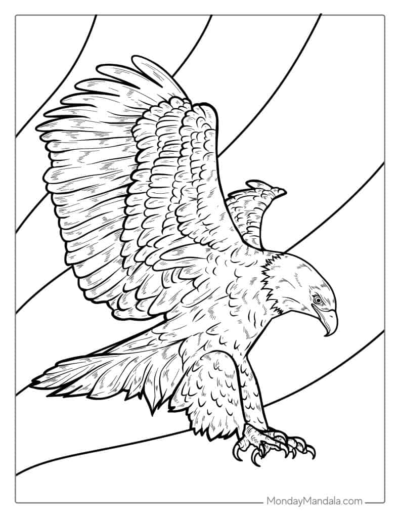 Bald eagle coloring pages free pdf printables