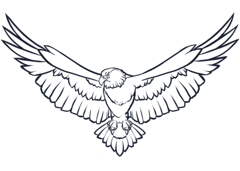 Bald eagle coloring page free printable coloring pages