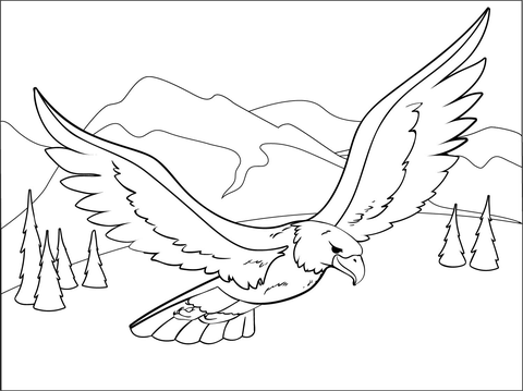 Eagle coloring page free printable coloring pages