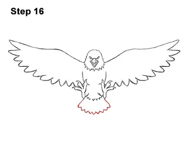 How to draw a bald eagle cartoon video step