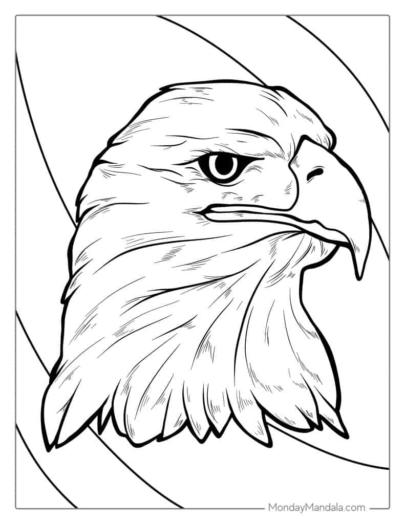 Bald eagle coloring pages free pdf printables