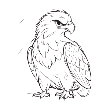 Eagle drawing vector art png images free download on