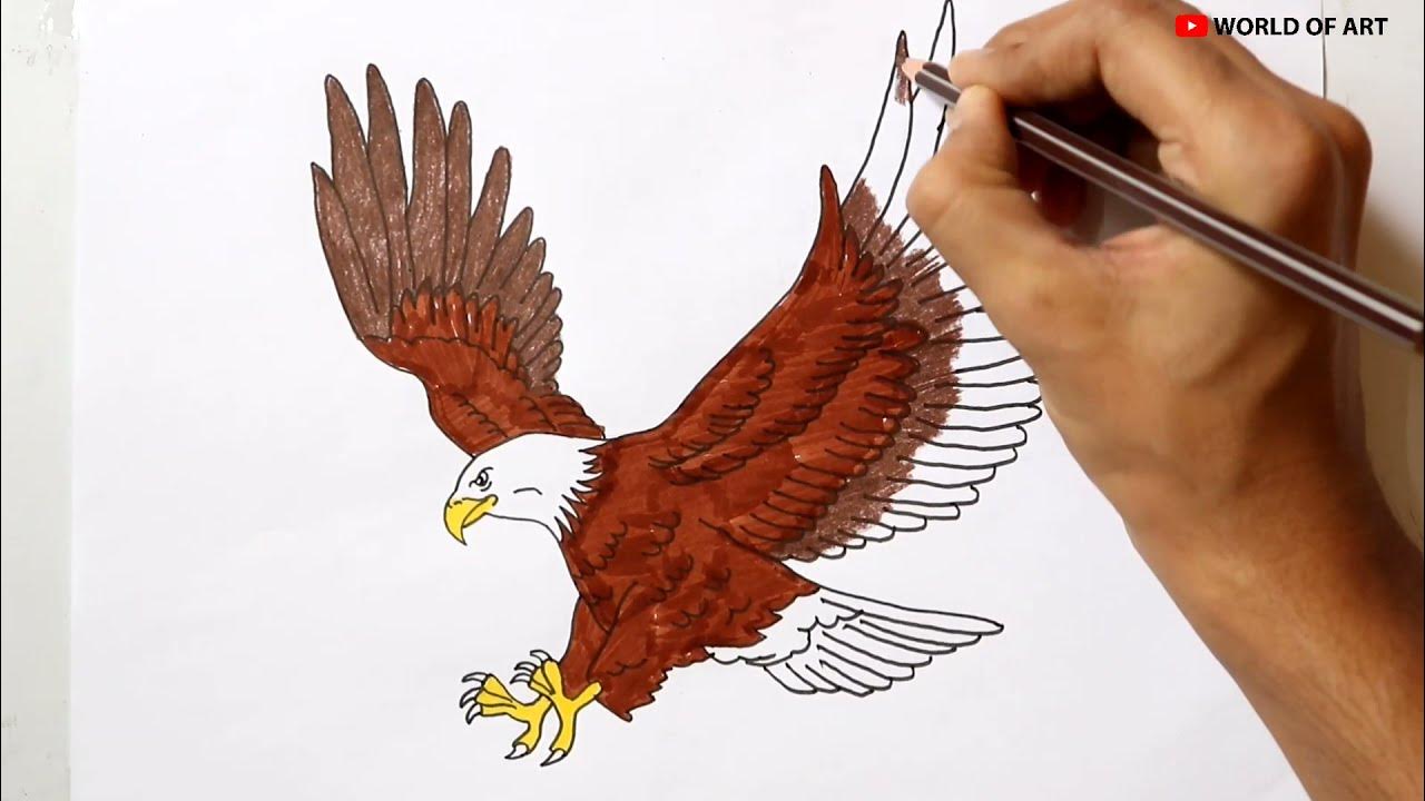 How to draw an eagle how to draw a eagle easy step by step