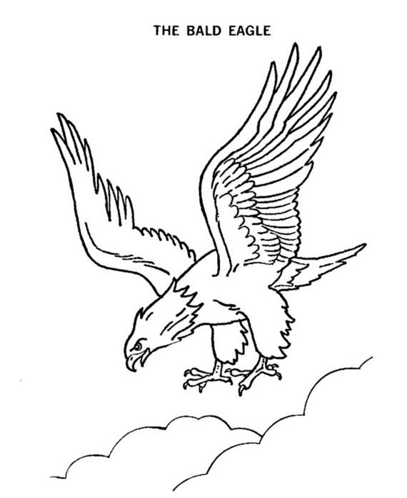 Add fun veterans day coloring pages for kids eagle drawing coloring pages bald eagle