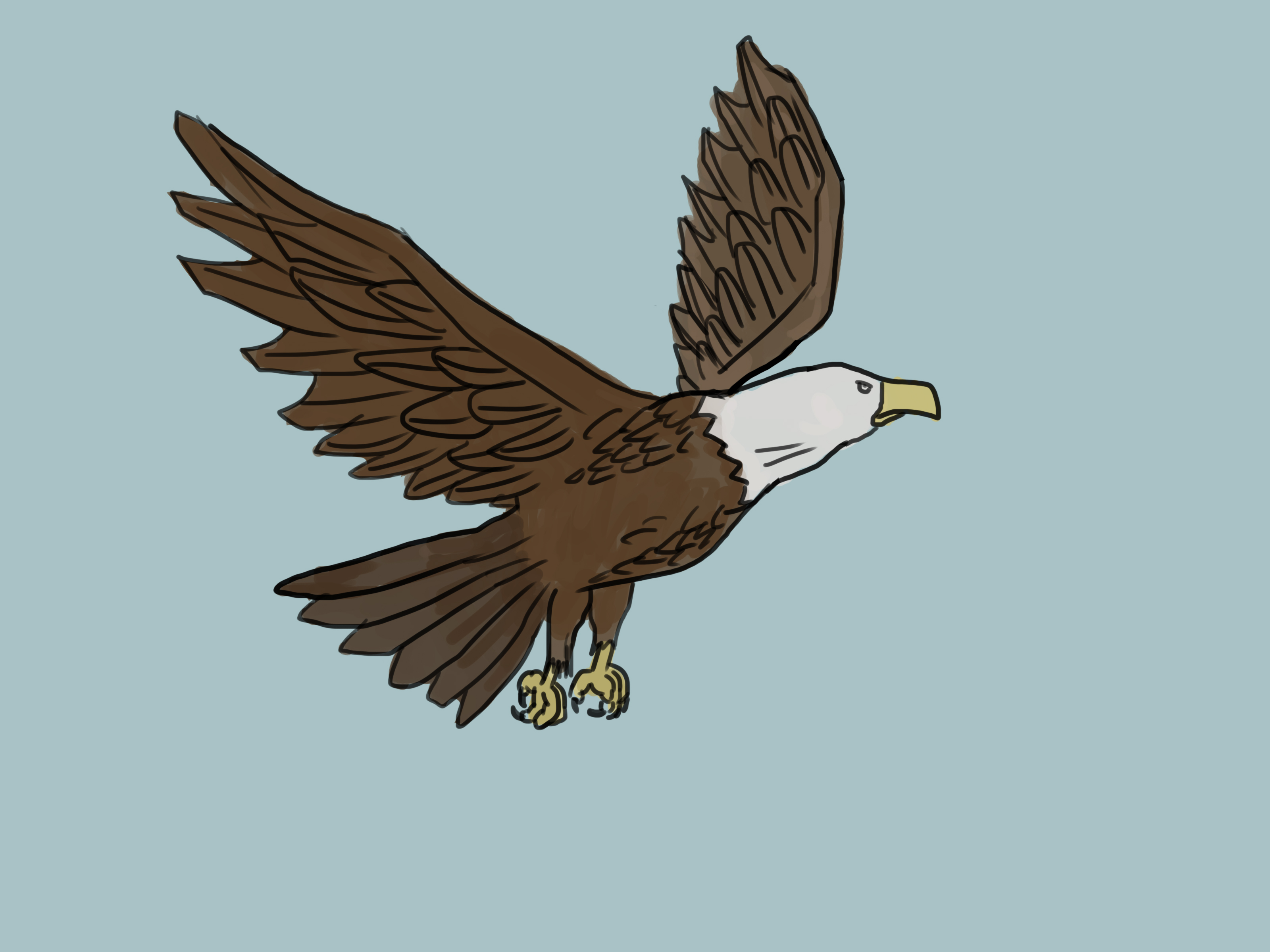 Ways to draw an eagle