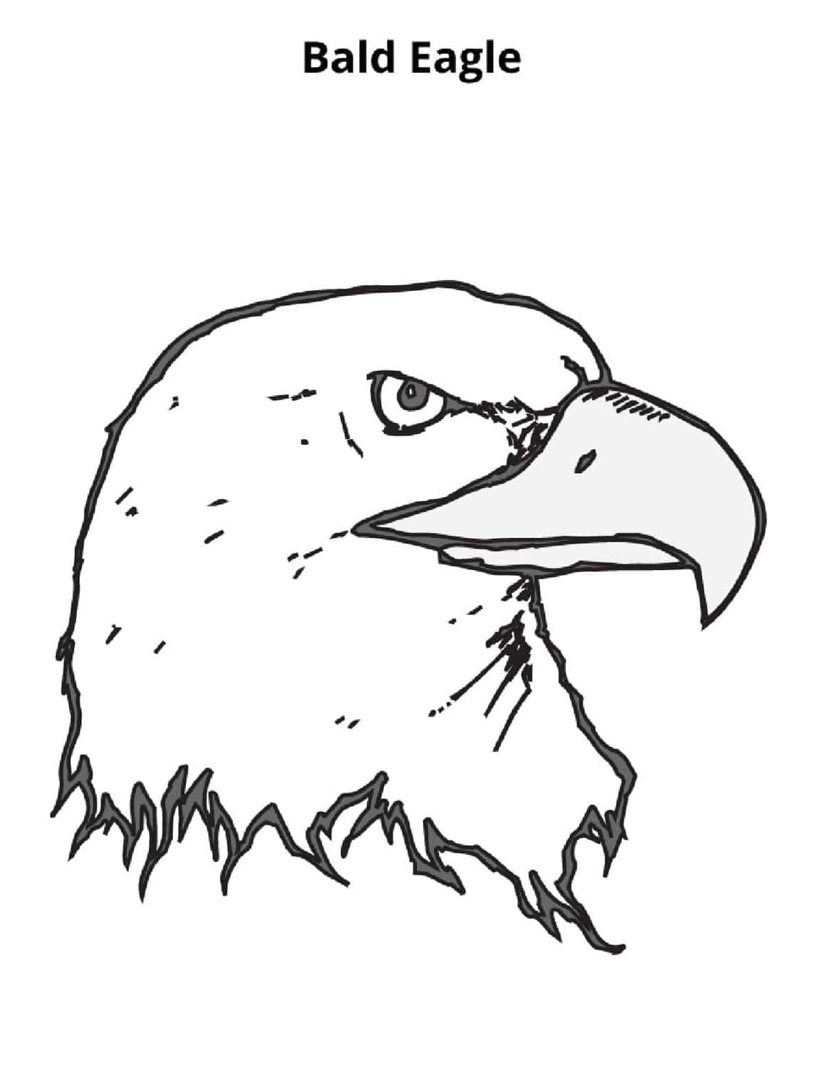 Bald eagle coloring pages printable for free download
