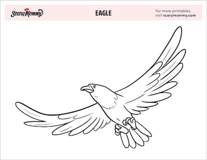 Eagle coloring pages to share with your talon