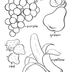 Cute fruit coloring pages printable for free download