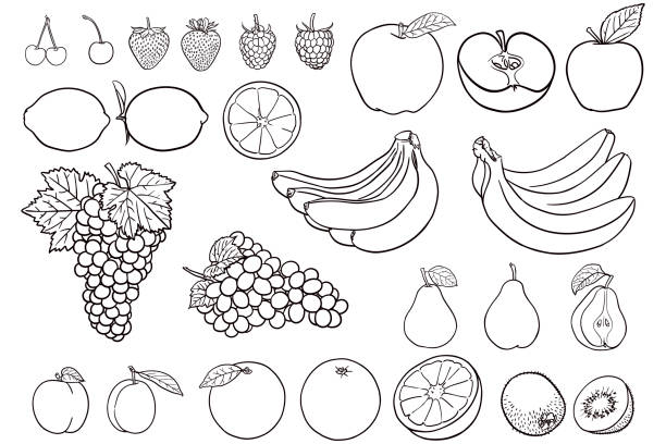 Simple drawings of fruit for coloring books stock illustration