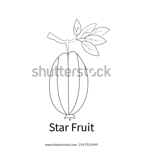 Fruits coloring pages easy simple fruit stock vector royalty free