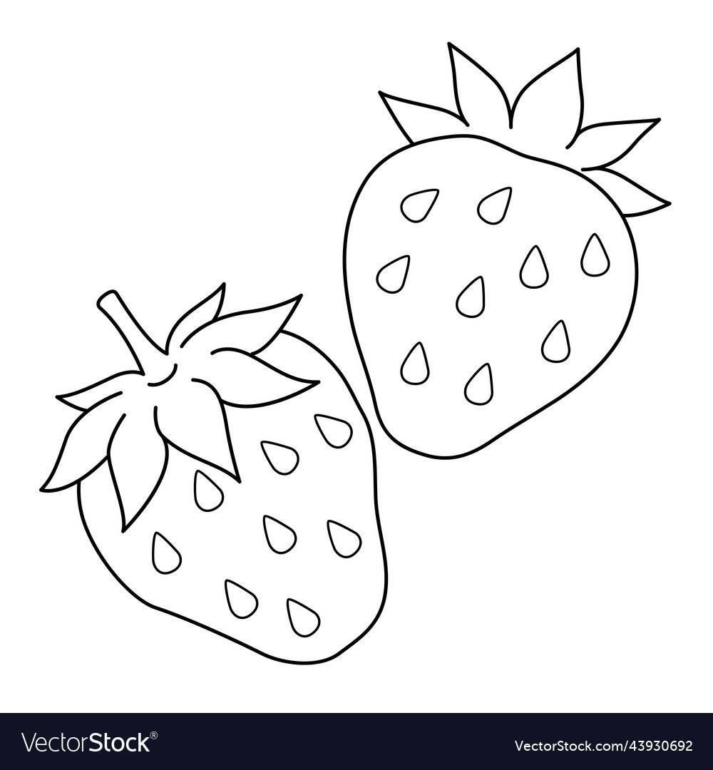 Strawberry fruit isolated coloring page for kids vector image