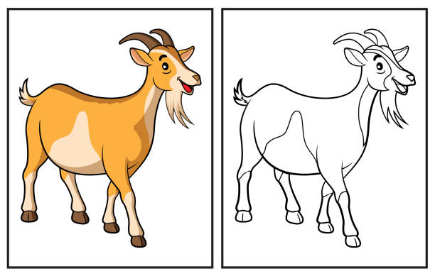 Goat coloring pages stock illustrations royalty