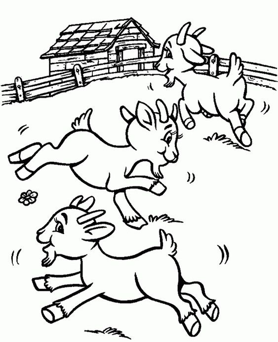 Free easy to print goat coloring pages