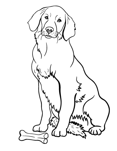 Free golden retriever coloring page