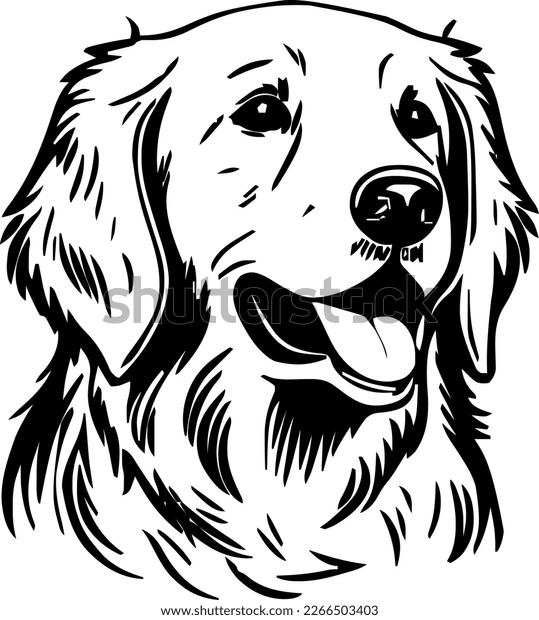 Golden retriever line drawing stock photos and pictures