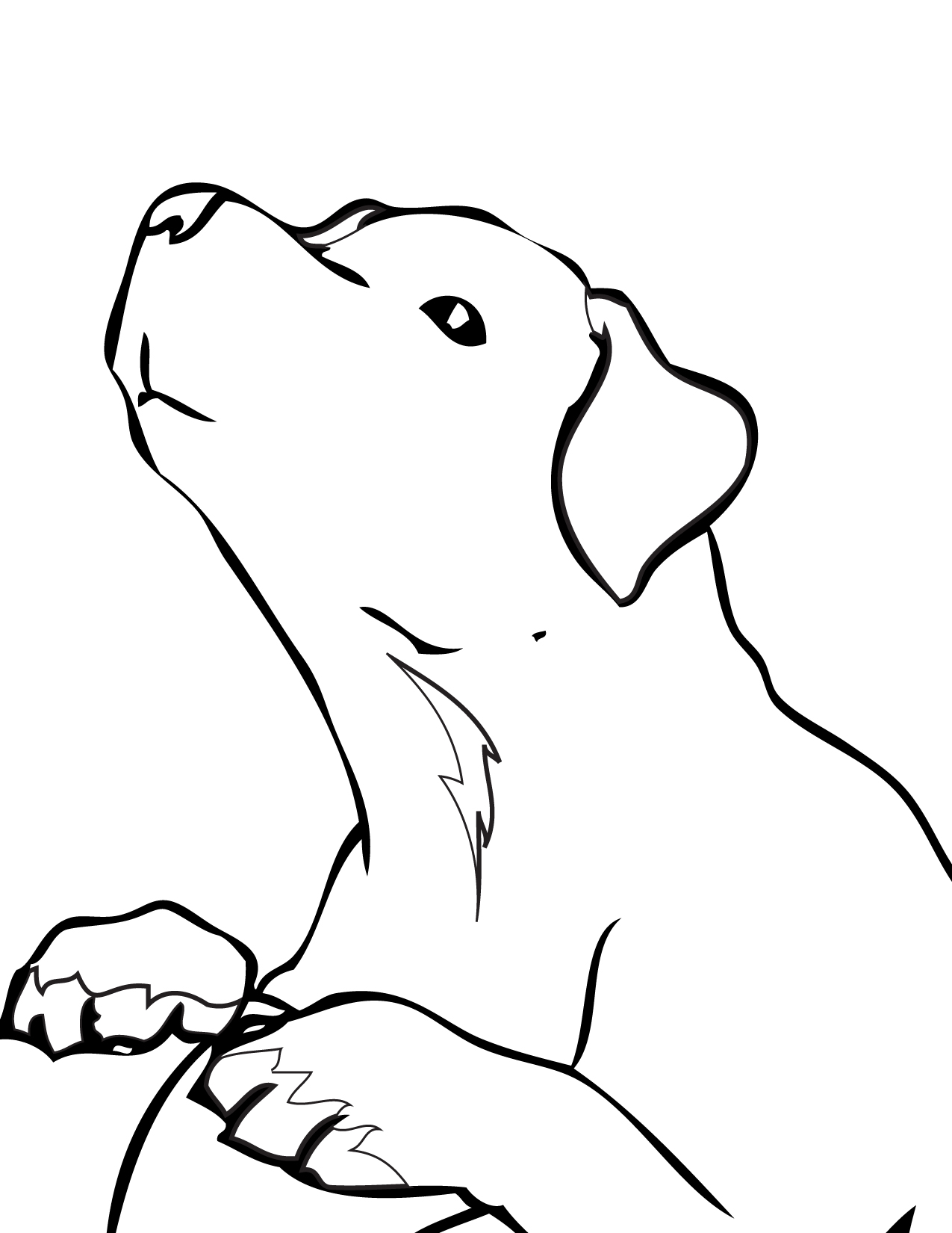 Golden retriever coloring pages