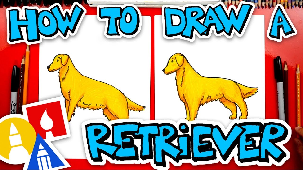 How to draw a golden retriever