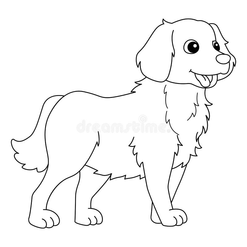 Golden retriever dog coloring page for kids stock vector