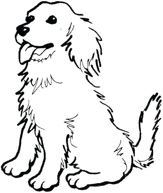 Golden retriever coloring pages