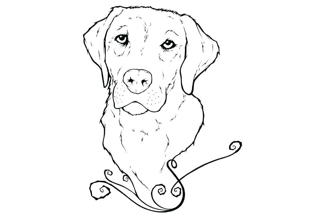 Golden retriever coloring pages