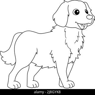 Golden retriever dog coloring page illustration stock vector image art