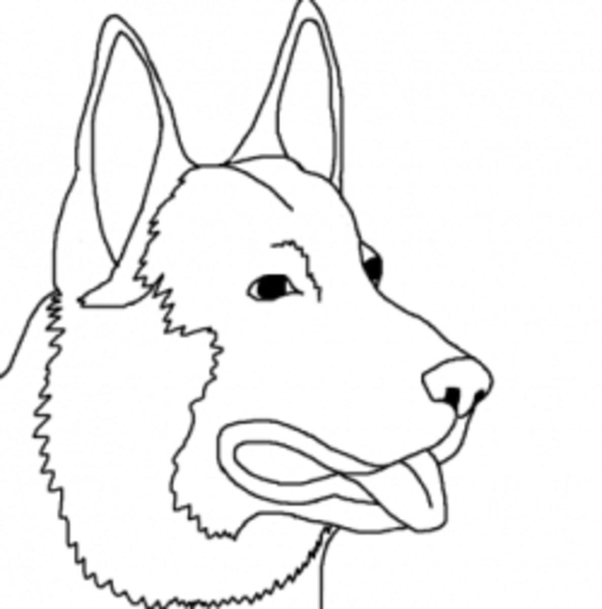 Dog breed coloring pages