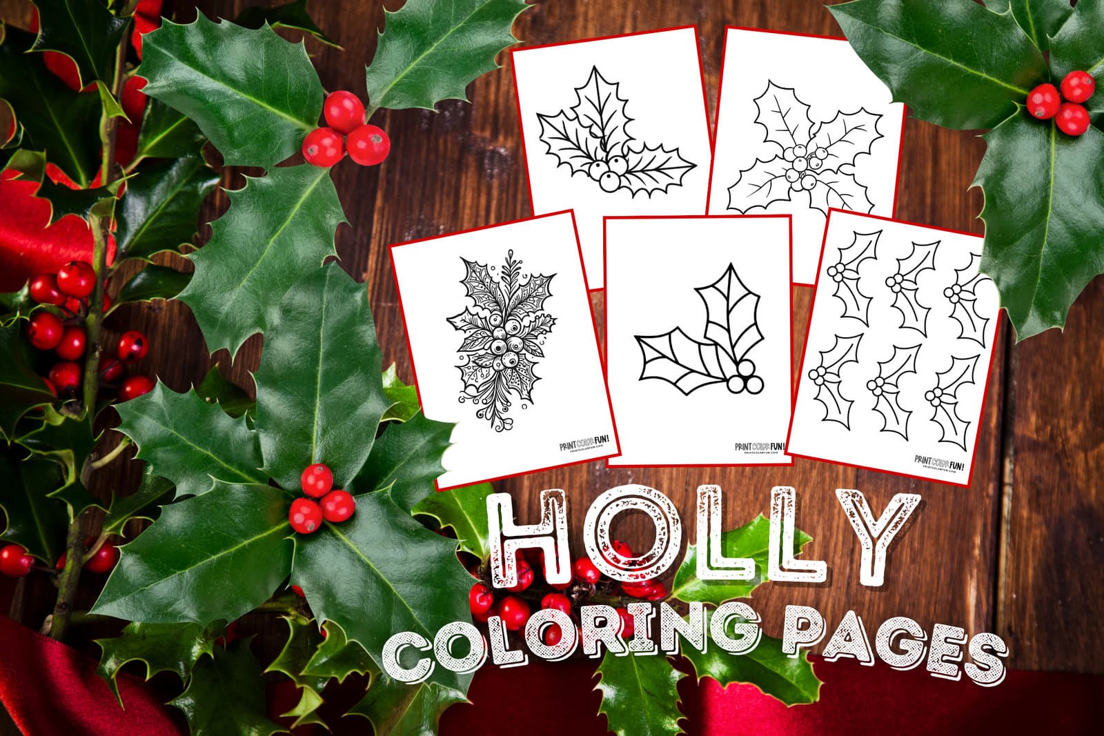 Holly clipart coloring pages for festive christmas crafting fun at